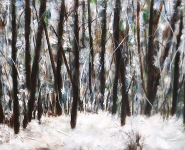 New Snow 2