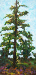 Tree Above Foreshore