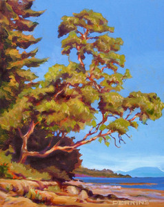 Hummingbird Beach Arbutus