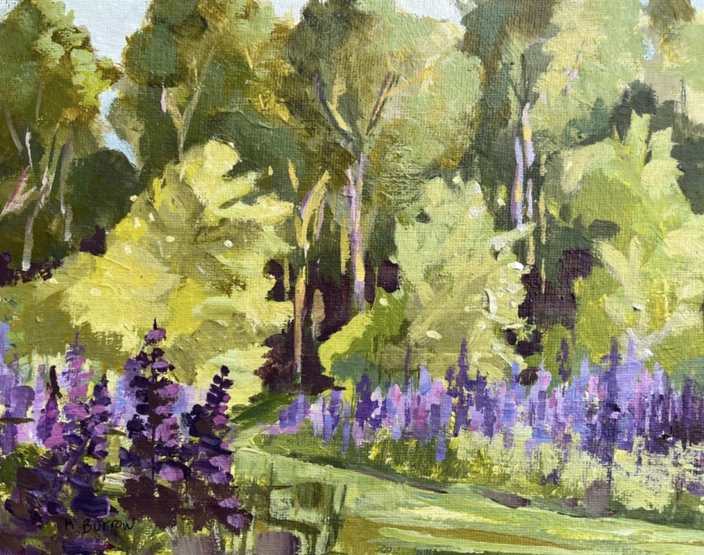 Where the Lupines Are