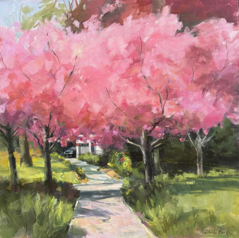 Blooming Cherry Trees at Government House