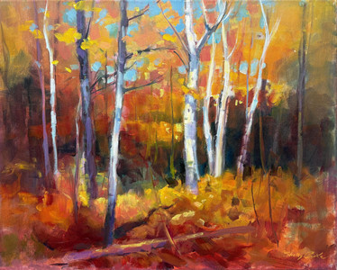 Autumn at Bon Echo Park, Ontario