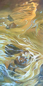 Seasonal Fluidity