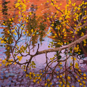 Autumn Reflection