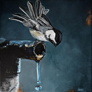 Chickadee - "The Drip Dilemma"