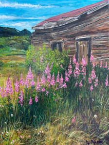 Fireweed at Atlin Lake