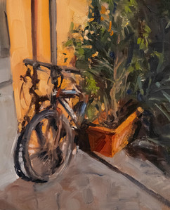 Still Life with Bike