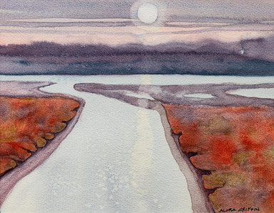 Salt Marsh Creek - Comox, BC