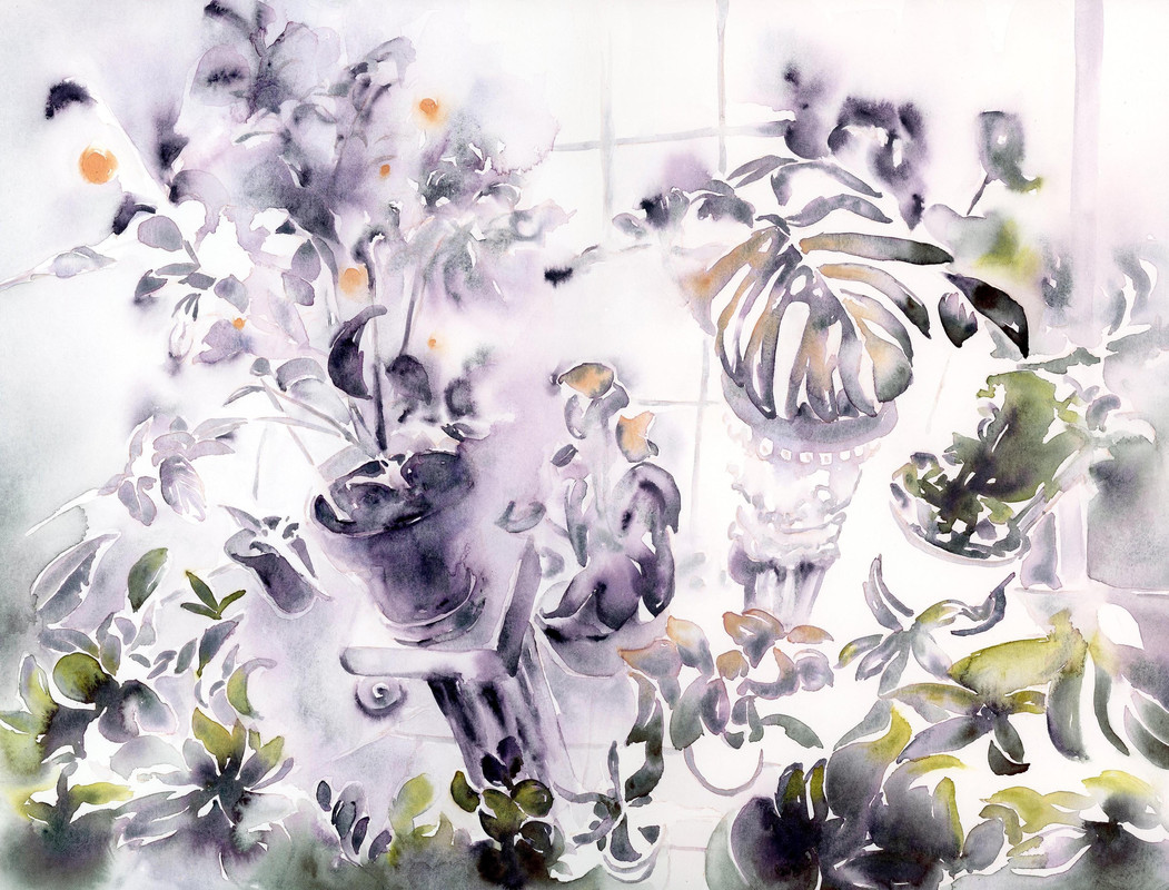 The Art of Chaos (Forgetting Garden, Mother's Sunroom, Toronto)