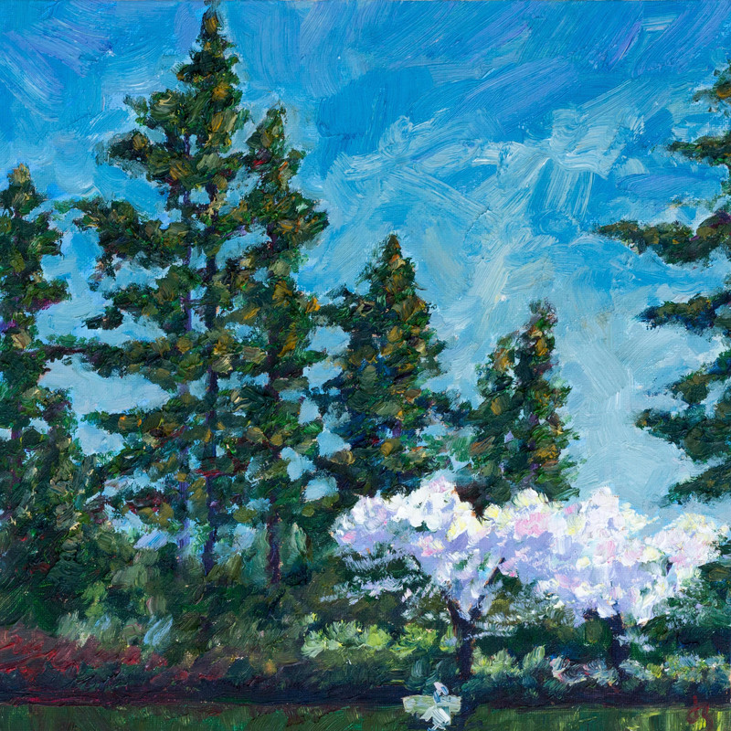 Cherry trees