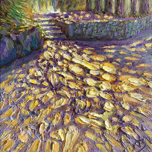 Footprints of Light