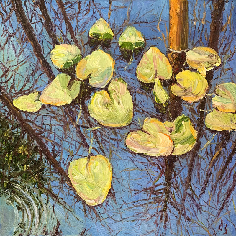 Reflection