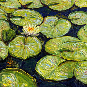 Water Lilies