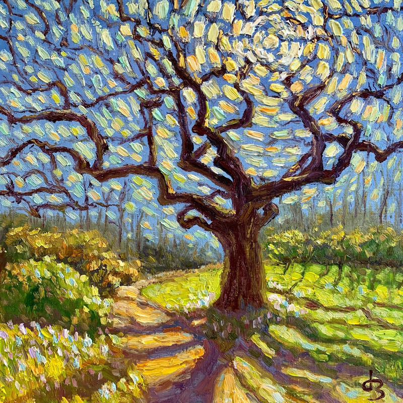 Sparkling Noon