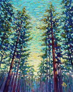 Echoes of the Canopy