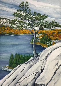 Lumsden Lake, Killarney PP