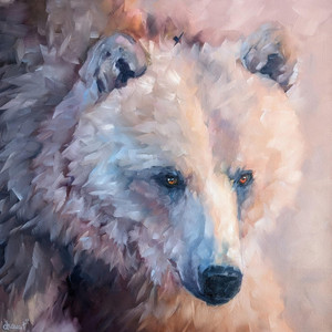 Spirit Bear
