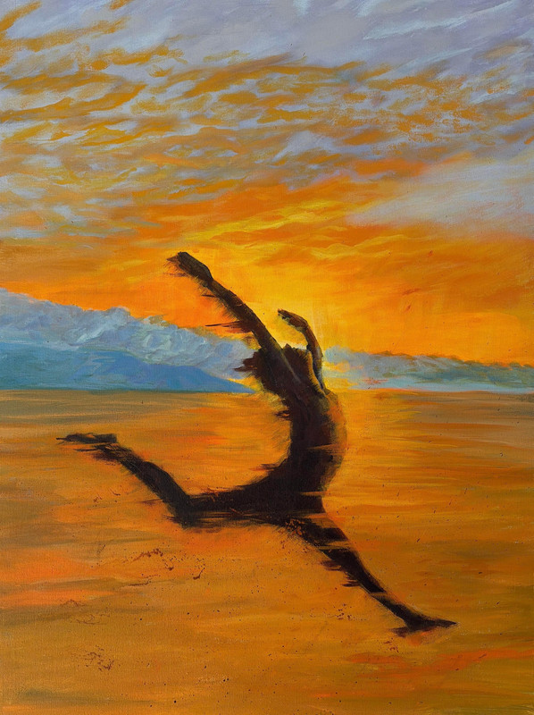 The Gymnast