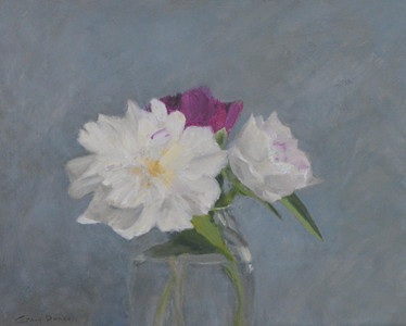 Spring Peonies