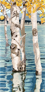 Aspen Afloat