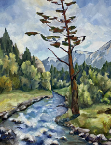 Beautiful British Columbia 3