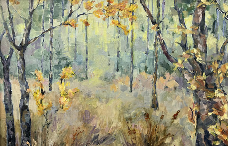 Fall Forest in Kananaskis
