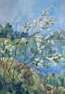 Spring Flowers in a Flood Meadow