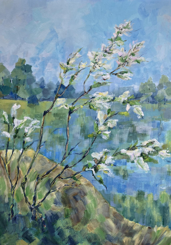 Spring Flowers in a Flood Meadow
