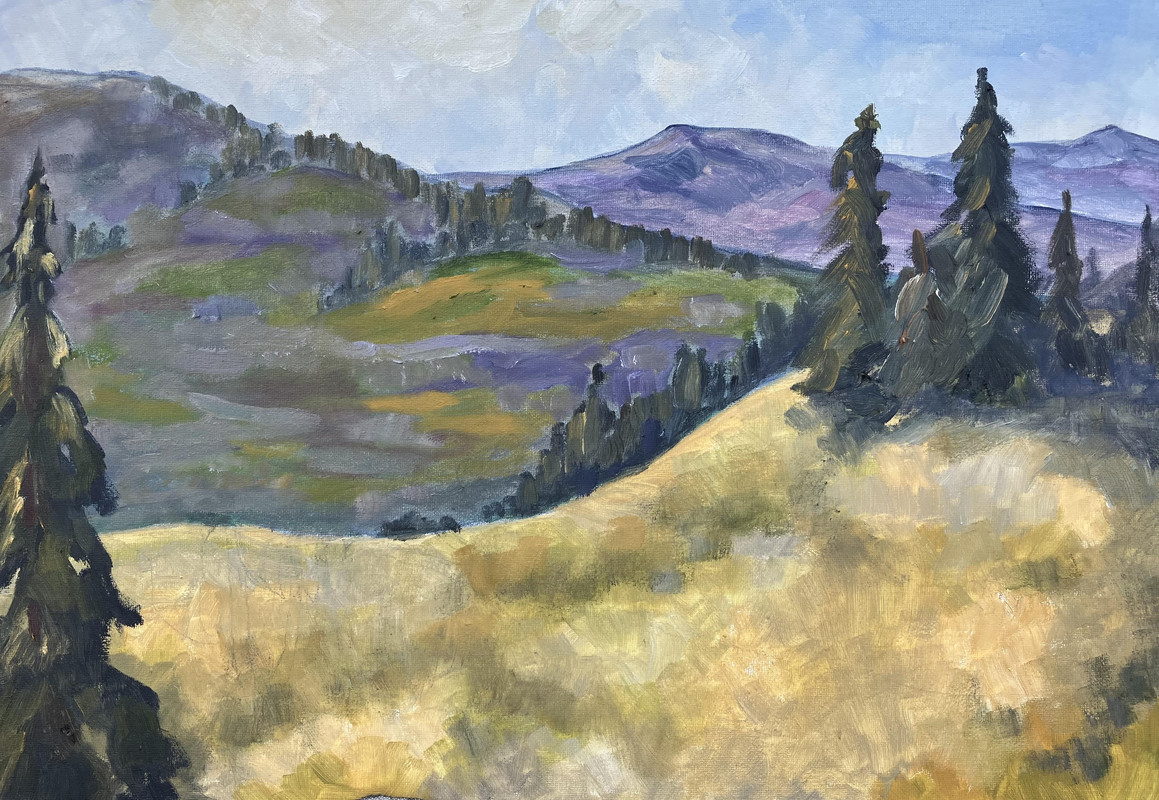 Mountain View 2