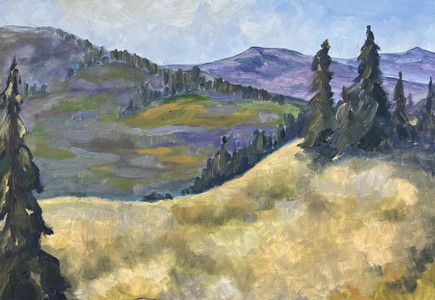 A Mountain View 2