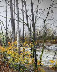 After the rain along the Coquitlam