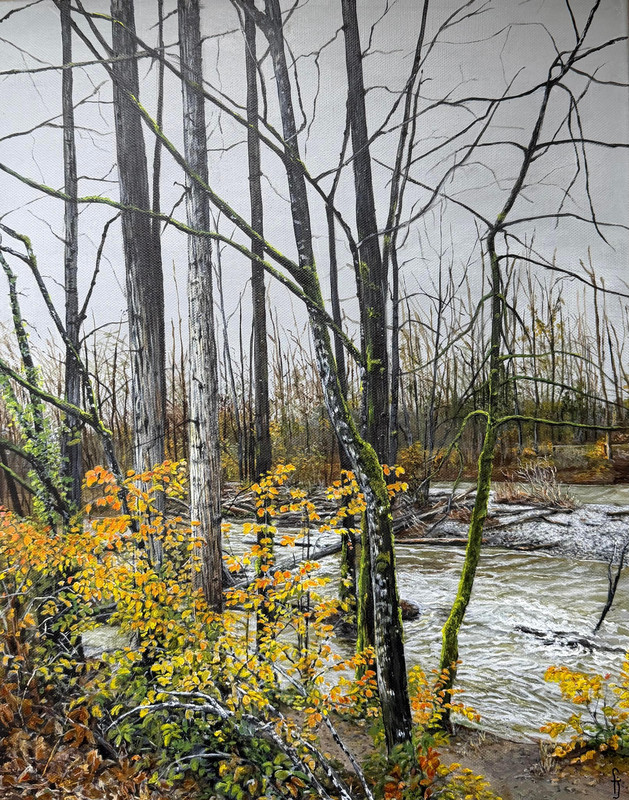 After the rain along the Coquitlam