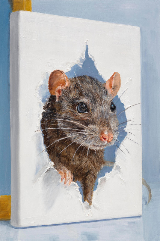 I Don&rsquo;t Give a Rats Ass