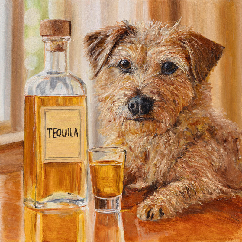 Hair of The Dog