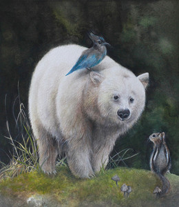Kermode Bear and his friends
