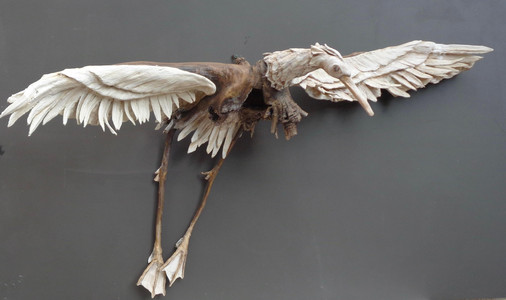 Soaring on a wing and a prayer