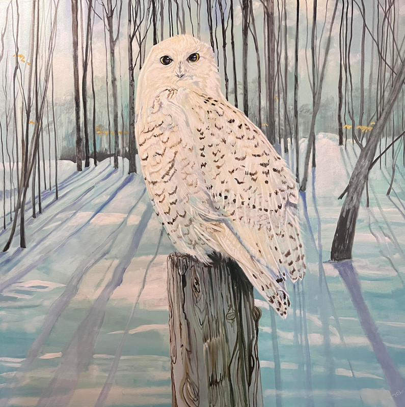 A Snowy Visitor