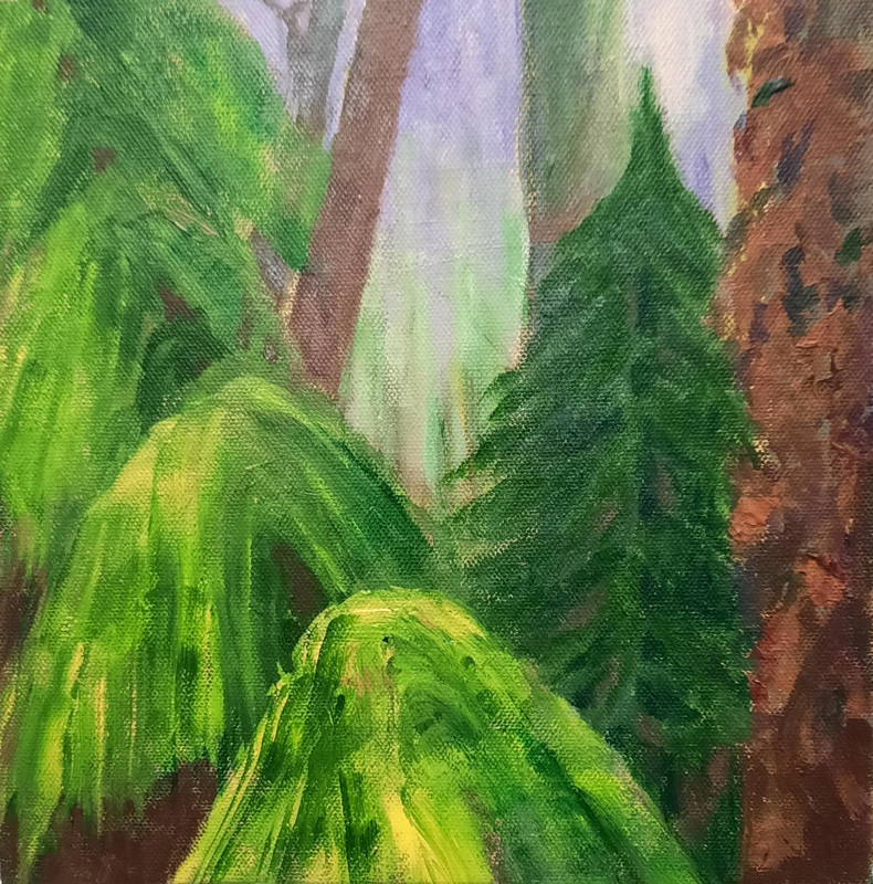 Deep Woods at Dawn