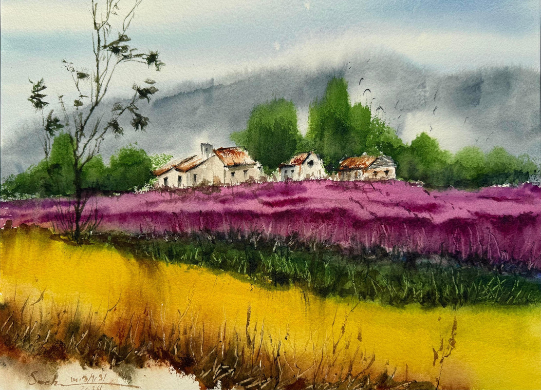 Colorful Summer