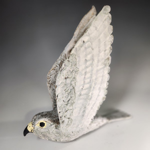 Merlin Falcon