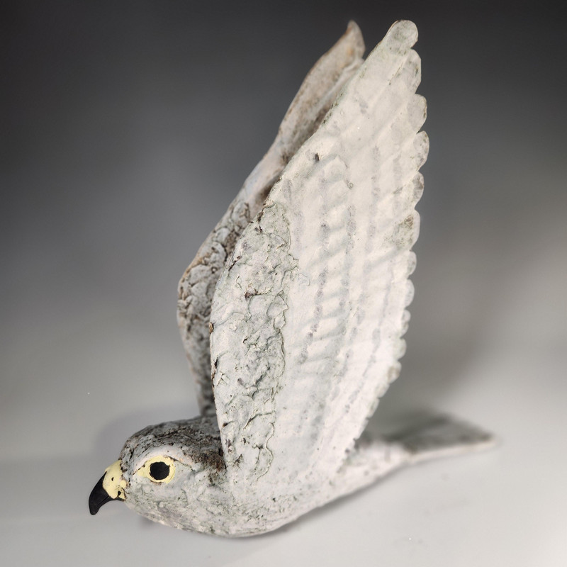 Merlin Falcon