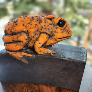 Orange Toad