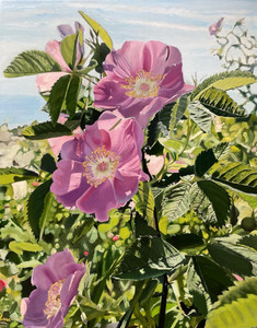 Three Wild Roses