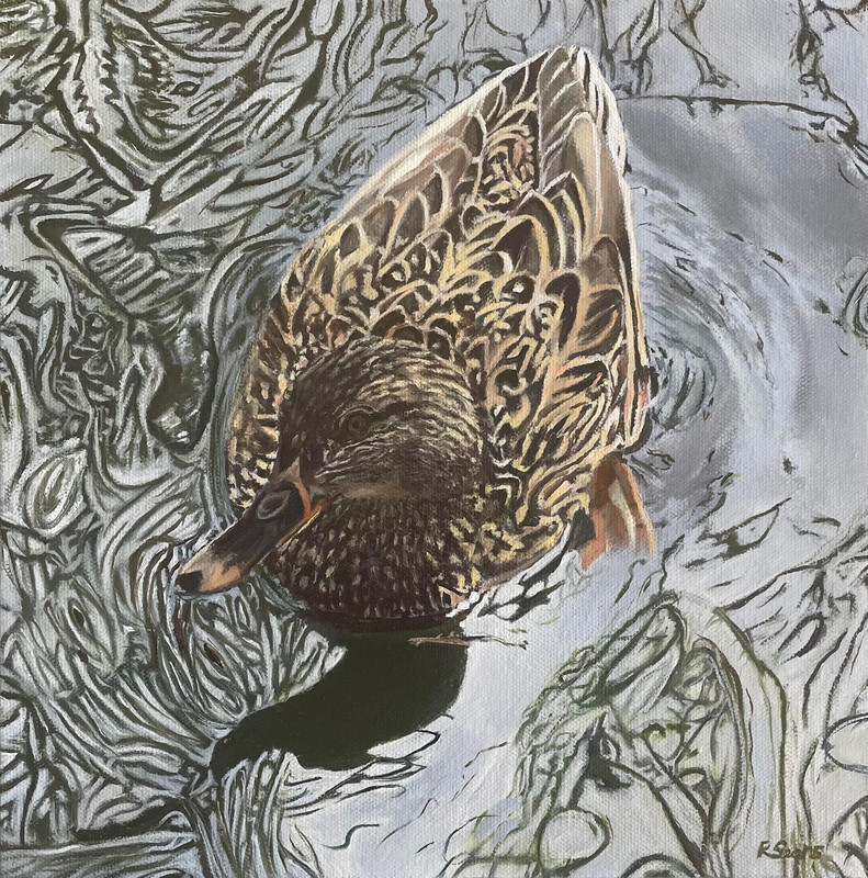 Mallard Hen