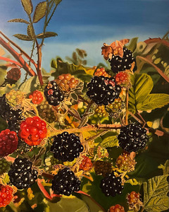 Blackberries