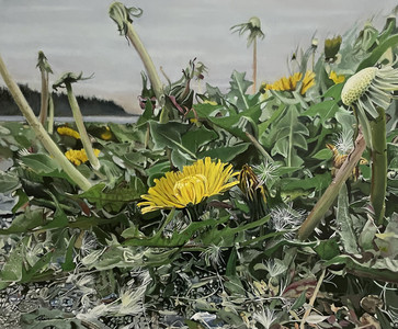 Dandelion Garden