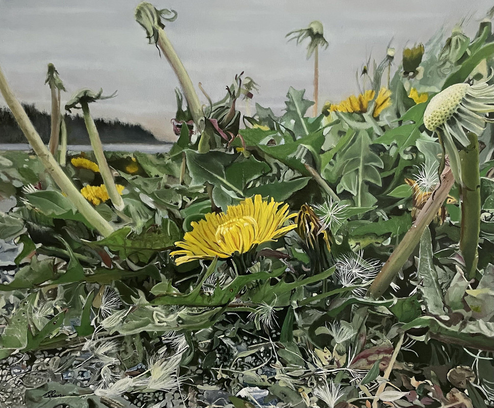Dandelion Garden