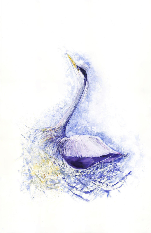 Nesting Great Blue