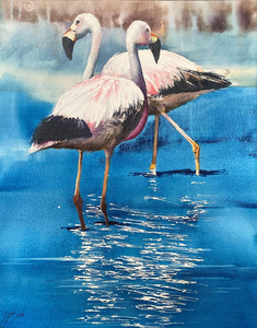 Flamingo Flemenco