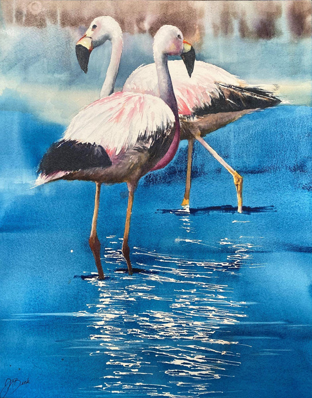Flamingo Flemenco